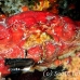 crab_reef_nr_h_0705_png0993.jpg